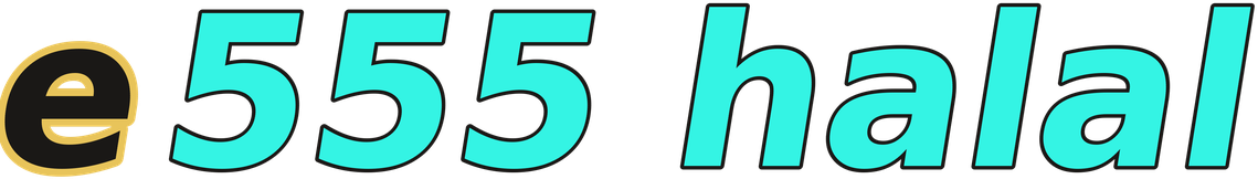 e555 halal logo